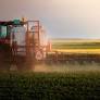 Navigating Fertilizer Supply Challenges and Coffee Market Opportunities in Brazilian Agriculture 2026
