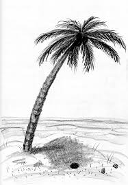 Palme Am Strand Foto Bild Kunstfotografie Kultur Gemalde Skulpturen Gemalde Und Zeichnungen Bilder Auf Fotocommunity