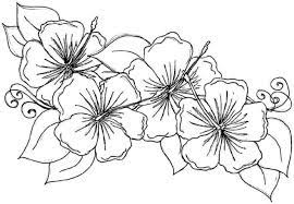 You want to see all of these flower coloring pages. Coloring Pages Hawaiian Flower Coloring Printable Hibiscus