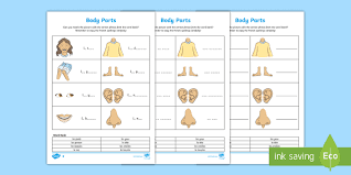 Our worksheets will help them recognize body parts such as arms, legs, feet, hands and face. French My Body Parts Worksheet Teacher Made