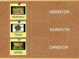 Dalam golongan hewan yang berdasarkan pada jenis makanannya, terbagi menjadi 3 golongan, yaitu : Haiwan Omnivor Karnivor Dan Herbivor Sumber Pengajaran