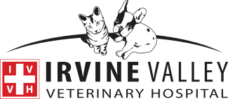 Michaels and crew are head and shoulders above the rest of the vet crowd. Veterinarians And Animal Hospital In Irvine Ca Irvine Valley Veterinary Hospital