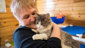 Reserves the right to refuse adoption to anyone. Empty The Shelter Returns Saturday This Time With 25 Pet Adoption Fees