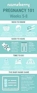 Pin On Pregnancy 101