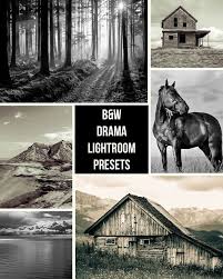 Black And White Lightroom Tutorial Free Download Dramatic Black And White Lightroom Presets Lightroom Lightroom Presets Free Lightroom Presets