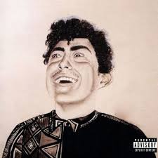 The Rise of Hobo Johnson