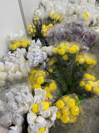 Jaminan harga terbaik, aman, dan tepercaya. V I S I T J O H O R On Twitter Ni Baru Betul2 Syurga Kedai Bunga Terbesar Dekat Johor Iaitu Dekat Pudu Ria Florist Permas Jaya