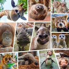 Daily from sunrise to sunset. Zoo Dortmund Startseite
