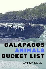 Galapagos Wildlife Bucket List And Where To Find Them Galapagos Travel Galapagos Islands Travel Galapagos