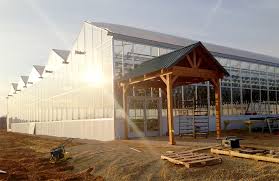 Maybe you would like to learn more about one of these? Greenhouse Curtain Wall Glass