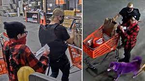 Home depot credit card stolen. Stolen Credit Card Suspects With Purple Dog Sought In Daly City Cbs San Francisco