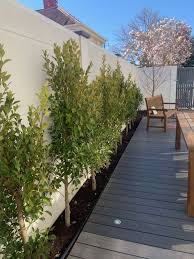 Pool Landscaping Decking Planting Pool Landscaping Landscape Design Landscape