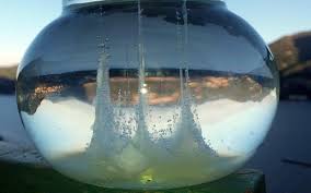 Si prendeva un vaso giardiniera di vetro trasparente da. La Barca Di San Pietro Sottocoperta Net