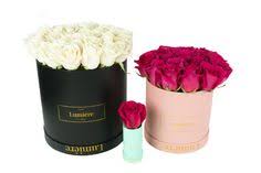 Listing provided by greater mcallen aor. Fleurs Lumiere Fleurslumieremcallen Profile Pinterest