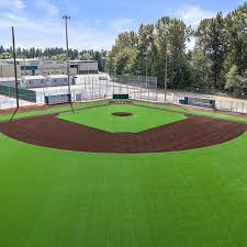Olga mural field at schoonover stadium is a baseball venue located on the campus of kent state university in kent, ohio, united states. B1k Sports Turf Shaw Sports Turf Caddetails