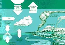 D'une part, le réchauffement de l'eau rend plus difficile la dissolution du co2 et perturbe la formation des le risque : Les Changements Climatiques Et Leurs Impacts