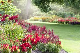 It doesn't take a genius to design a natural garden; The 10 Plants Every Garden Needs
