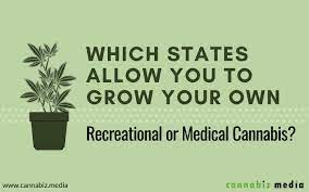 The dispensary is unable to supply the marijuana to the cardholder, or; Which States Allow You To Grow Your Own Recreational Or Medical Cannabis Cannabiz Media