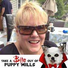 Can anyone suggest an affordable groomer for a schnoodle in St. Charles?