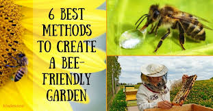 We did not find results for: 6 Best Methods To Create A Bee Friendly Garden