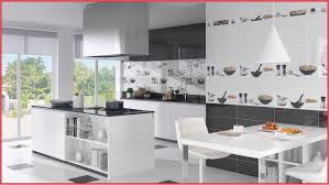 Productos de limpieza para suelos. Azulejos Paredes De Cocinas Modernas Novocom Top