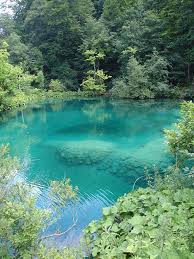 Clear Water This Looks Like The Blue Grotto In Florida Beautiful Place To Dive Swimming Pool Landscaping Natural Swimming Pools Pool Landscaping