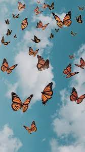 Background definition, the ground or parts, as of a scene, situated in the rear (opposed to foreground). Summer Butterfly Wallpapers Top Free Summer Butterfly Backgrounds Wallpaperaccess