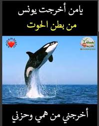 Pin By The Noble Quran On I Love Allah Quran Islam The Prophet Miracles Hadith Heaven Prophets Faith Prayer Dua حكم وعبر احاديث الله اسلام قرآن دعاء Animals Islam Whale