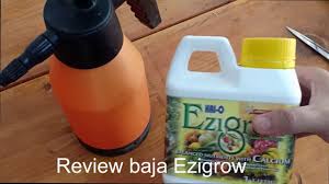 Penerangan dan konsep baja foliar ezigrow kepada dealer ezigrow baru. Kebun Rumah Review Cara Cara Penggunaan Baja Ezigrow 2020 Youtube