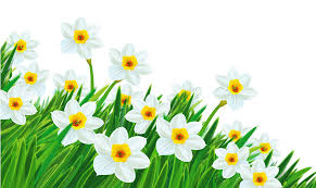 Image result for free free clip art for any commercial use