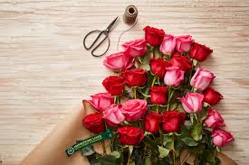 We did not find results for: Amazon And Whole Foods Market Lowering Prices On Whole Trade Certified Roses For Valentine S Day Business Wire