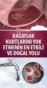 Pin By Yadigar Coban On Cilt Bakim Urunleri In 2020 Food And Drink Food Health