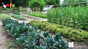If you're growing hardier specimens that can withstand frost, such as spinach and chives, light cloches will. Newsroom North Carolina Botanical Garden