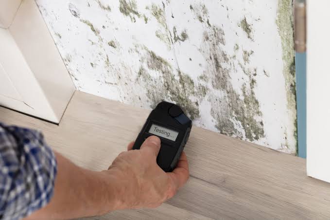 Mold Inspection - Mold Inspection And Analysis | Mold Inspection & Testing