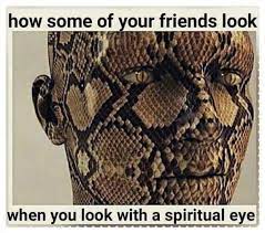 Mercyfulgrace Diaries With Negative People Spiritual Eyes Fake Friend Quotes Snake Quotes