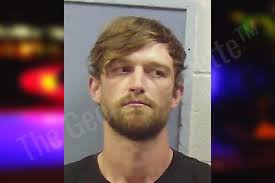 Michael Warnock — Chattooga County Jail Bookings