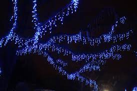 Icicle Lights Hung From Tree Branches Icicle Lights Outdoor Outdoor Lighting Outdoor Tree Lighting