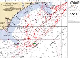 Atlantic Spotted Dolphins Noaa Teacher At Sea Blog