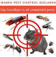 Pest control specialists have the right equipment, tools, and techniques to lure out pests and catch them. Pest Control Redlands Top Quality Pest Removal Service Best Controller