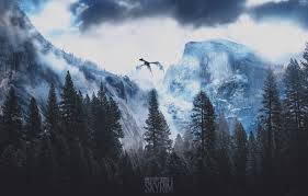 Dec 15, 2011 · changes the main menu skyrim logo to a wallpaper, over 10 options so far, now ther is a randomizer!! Wallpaper The Game The Sky Mountains Forest Wallpaper Forest Skyrim Game Download Wallpaper Skyrim Dragonborn The Elder Scrolls The Elder Scrolls V Skyrim Art Game Art Skyrim Wallpaper Skyrim Images For Desktop