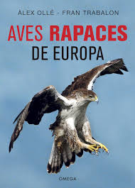 See 3 authoritative translations of aves in english with example sentences, phrases and audio pronunciations. Aves Rapaces De Europa Fokus Natur Defokus Natur De
