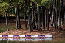 Seamlessly blended into the rolling wooded landscape, raven nest offers players of every skill level a beautiful match between challenge and enjoyment. Upcoming Events Disc Golf Pro Tour