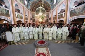 Catedrala adormirea maicii domnului catedralaadormirea maicii domnului este amplasata in zona de est a orasului. Ps Iustin La Catedrala IstoricÄƒ Din Baia Mare Sfanta Liturghie È™i Hirotonire Intru Preot Basilica Ro