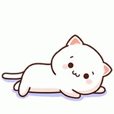 pin on cute kitty