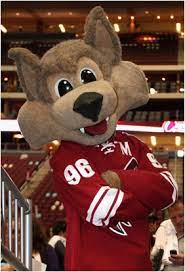 Ideally, every year is the right year for a team to make a magical run and end its season with confetti falling from the rafters. Howler The Coyote Nhl Wiki Fandom