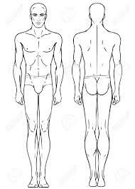 894x894 male anatomy by precia t. Body Outline Front And Back Zerat