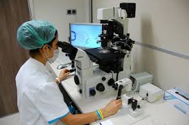 Maybe you would like to learn more about one of these? Cele Mai Bune Clinici De Fertilizare In Vitro Din Romania Bebee Ro