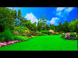 Putih adalah suci, warna ini adalah asal dari semua warna. Background Video Taman Alam Nan Indah Youtube