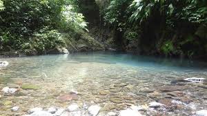 Bassin Relativement Profond Sur La Riviere Bourceau Guadeloupe Bassin