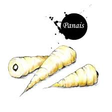 Recettes Par Ingredients Nourriture Aquarelle Liste Des Fruits Et Legumes Carotte Et Panais